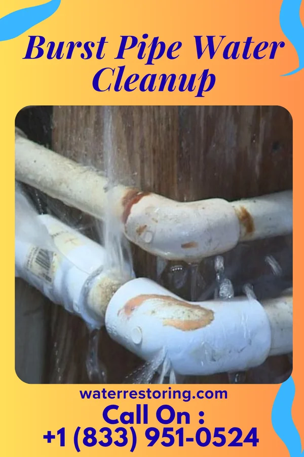 Burst Pipe Water Cleanup in Apple Valley, MN