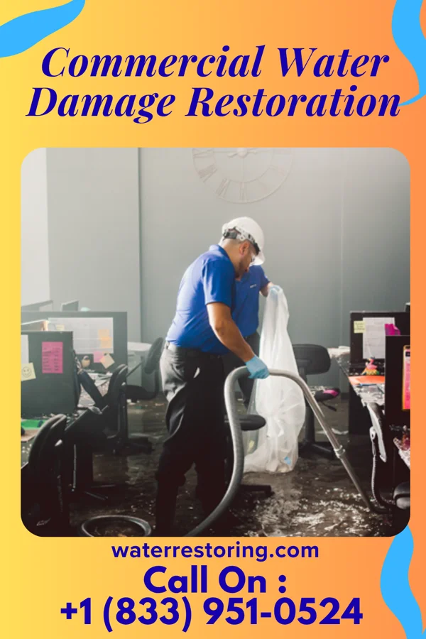 Commercial Water Damage Restoration in Apple Valley, MN