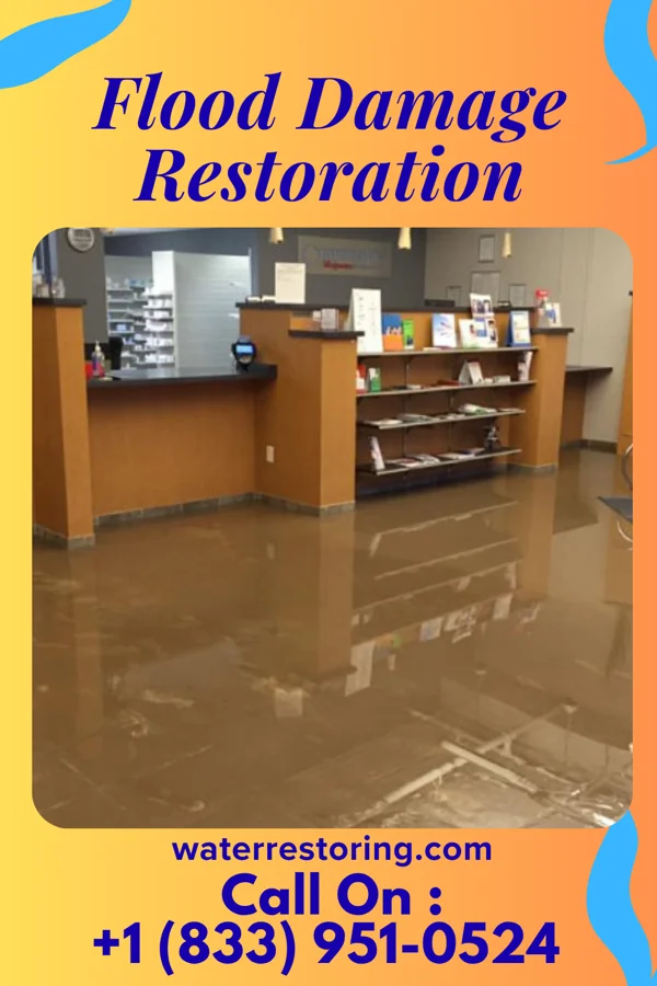 Flood Damage Restoration in Apple Valley, MN