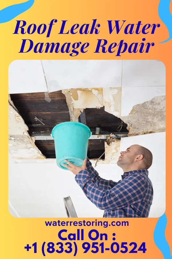 Roof Leak Water Damage Repair in Apple Valley, MN
