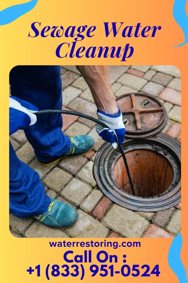 Sewage Water Cleanup in Apple Valley, MN